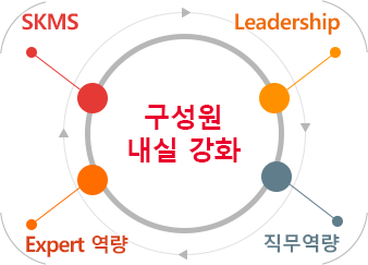 구성원 내실강화 - SK Values, Leadership, Expert 역량, 직무역량